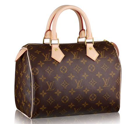 louis vuitton men's speedy